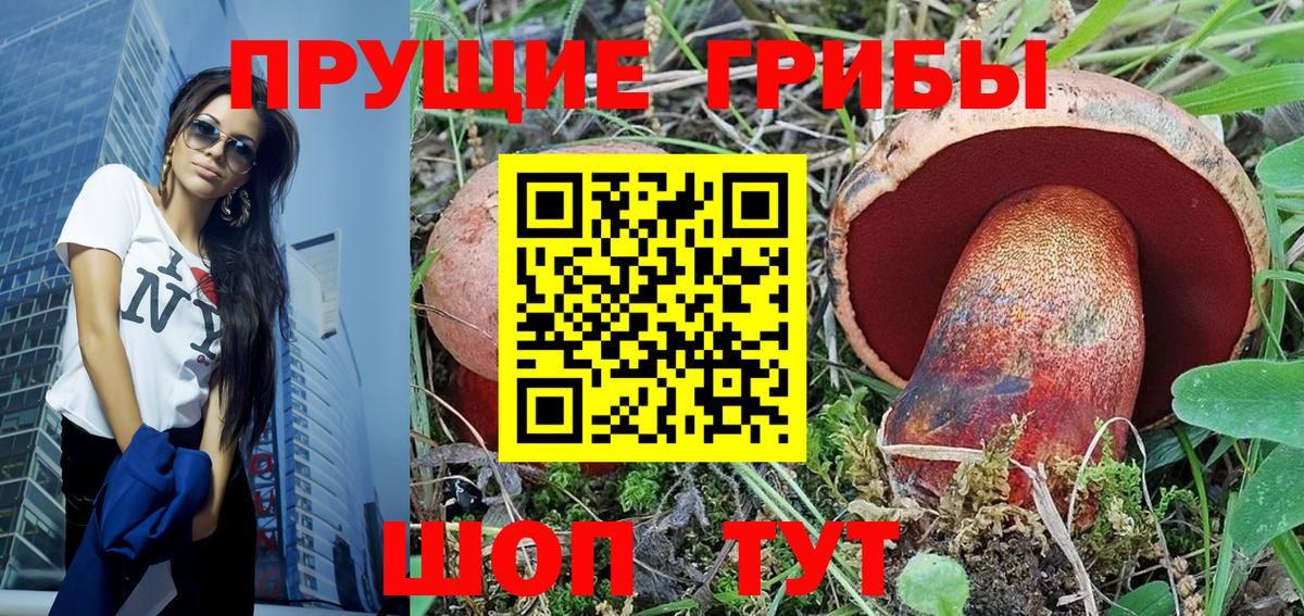 Галлюциногенные грибы MAGIC MUSHROOMS  Вход с VPN  Кизилюрт 