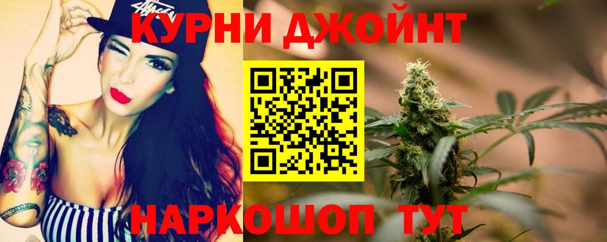 Конопля гибрид Кизилюрт
